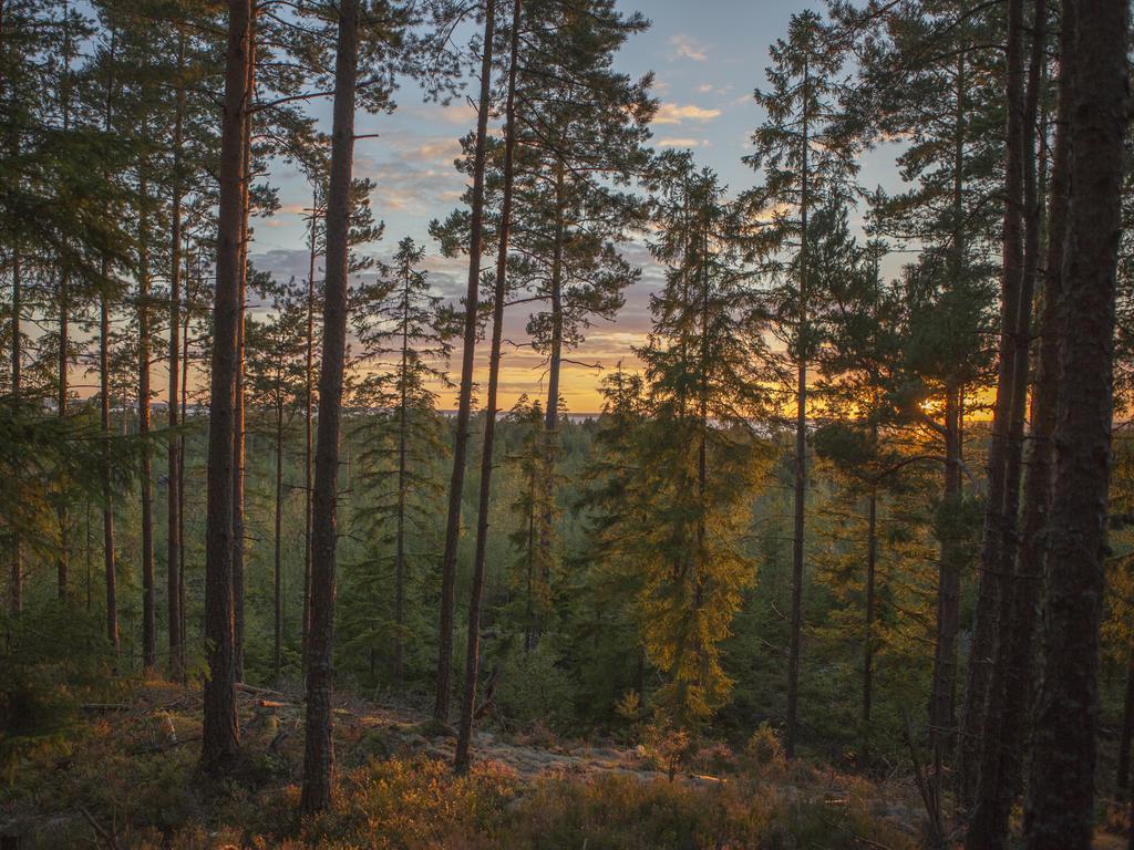 Hamgarden Nature Resort Tiveden Pokój zdjęcie
